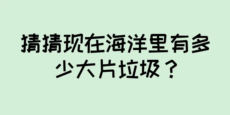 猜猜现在海洋里有多少大片垃圾？