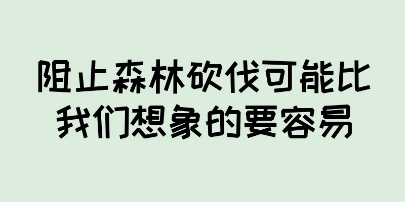 阻止森林砍伐可能比我们想象的要容易