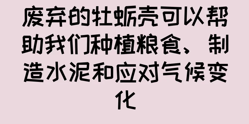 废弃的牡蛎壳可以帮助我们种植粮食、制造水泥和应对气候变化