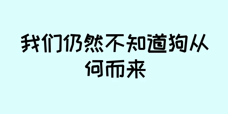 我们仍然不知道狗从何而来