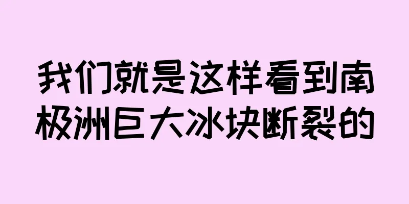 我们就是这样看到南极洲巨大冰块断裂的