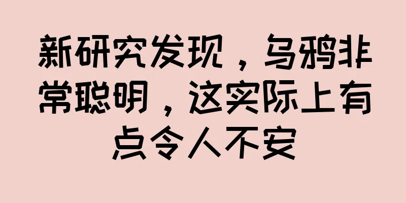 新研究发现，乌鸦非常聪明，这实际上有点令人不安