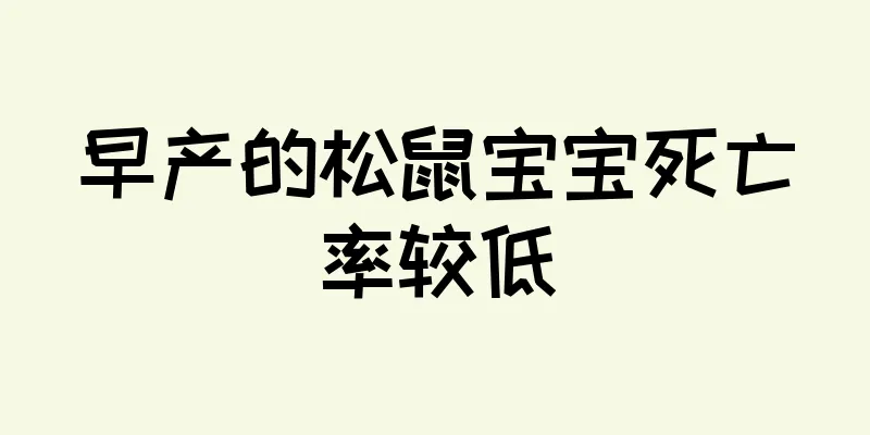 早产的松鼠宝宝死亡率较低