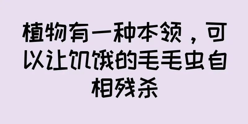植物有一种本领，可以让饥饿的毛毛虫自相残杀