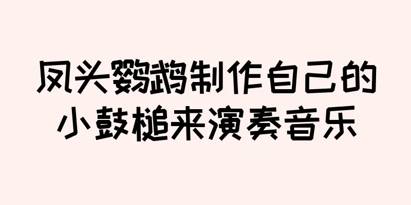 凤头鹦鹉制作自己的小鼓槌来演奏音乐