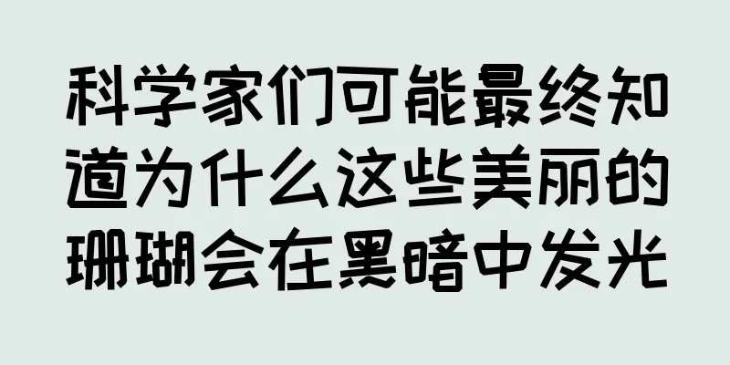 科学家们可能最终知道为什么这些美丽的珊瑚会在黑暗中发光