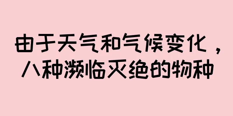 由于天气和气候变化，八种濒临灭绝的物种