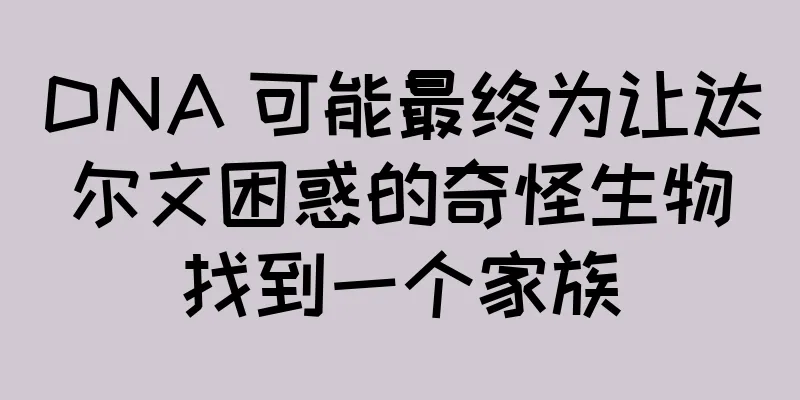 DNA 可能最终为让达尔文困惑的奇怪生物找到一个家族