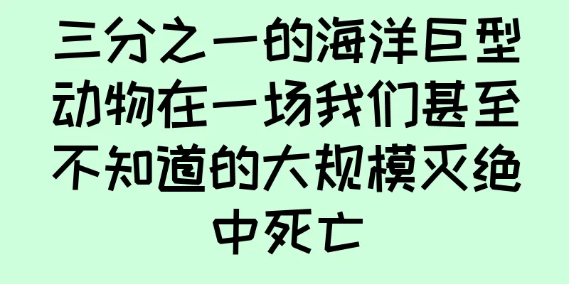 三分之一的海洋巨型动物在一场我们甚至不知道的大规模灭绝中死亡