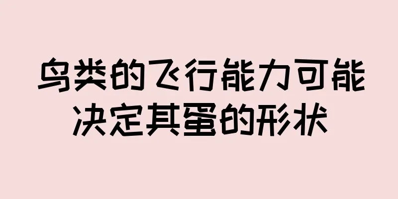 鸟类的飞行能力可能决定其蛋的形状