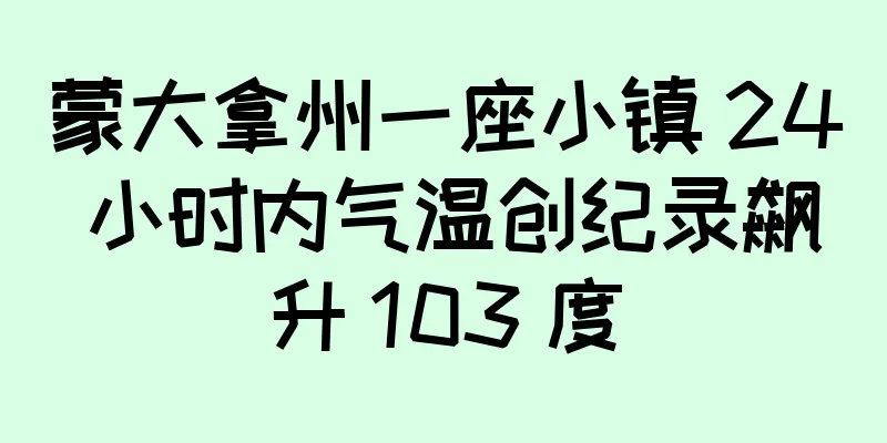 蒙大拿州一座小镇 24 小时内气温创纪录飙升 103 度