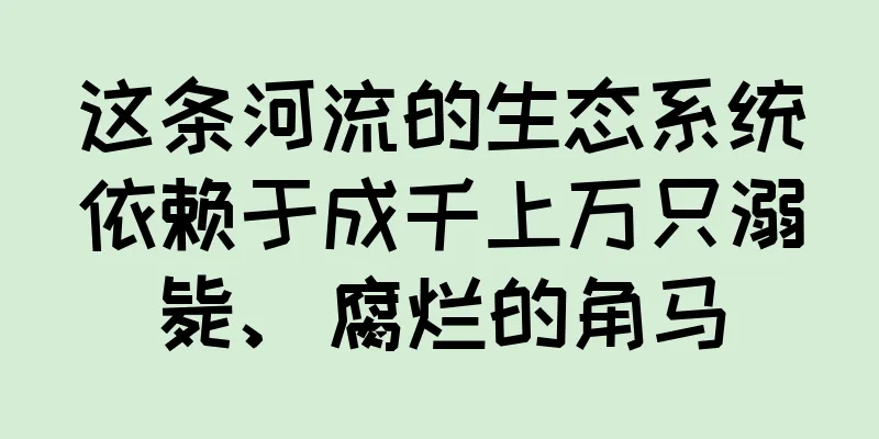 这条河流的生态系统依赖于成千上万只溺毙、腐烂的角马