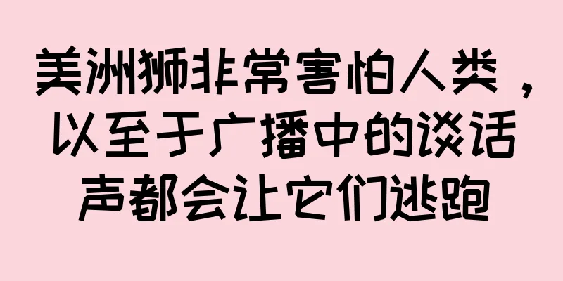 美洲狮非常害怕人类，以至于广播中的谈话声都会让它们逃跑