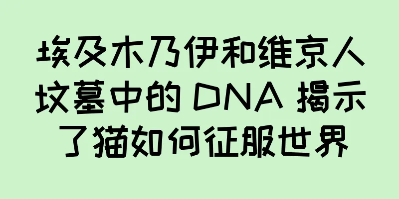 埃及木乃伊和维京人坟墓中的 DNA 揭示了猫如何征服世界