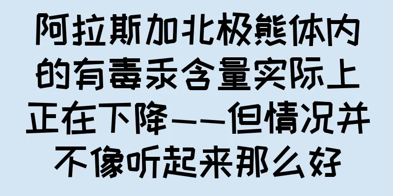 阿拉斯加北极熊体内的有毒汞含量实际上正在下降——但情况并不像听起来那么好