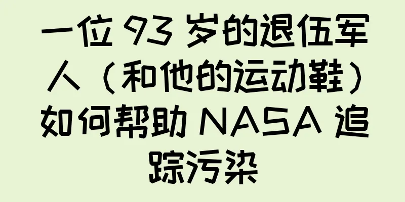 一位 93 岁的退伍军人（和他的运动鞋）如何帮助 NASA 追踪污染