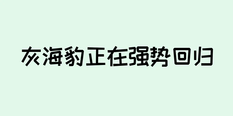 灰海豹正在强势回归