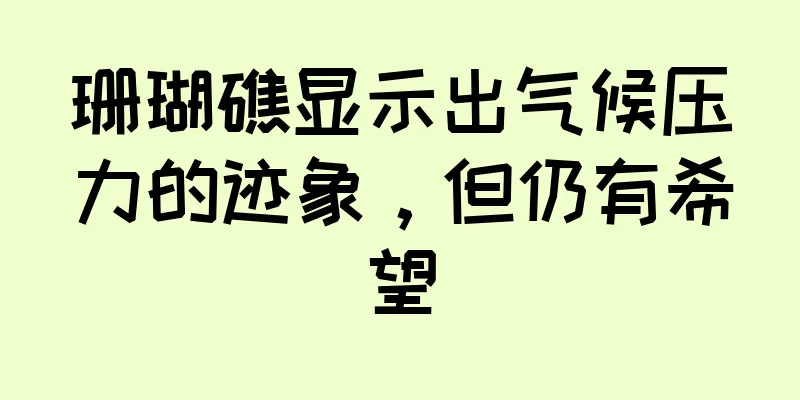 珊瑚礁显示出气候压力的迹象，但仍有希望