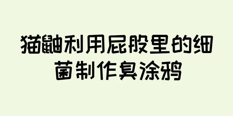 猫鼬利用屁股里的细菌制作臭涂鸦