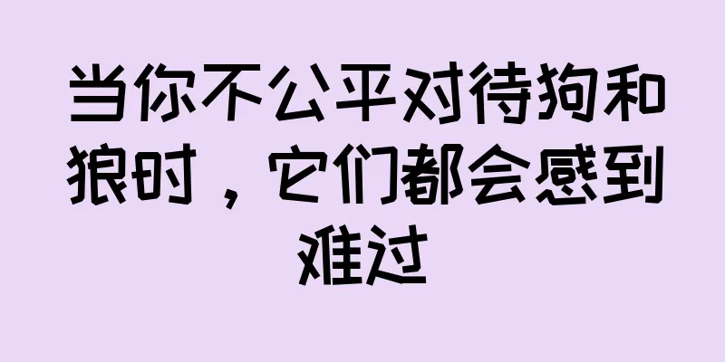 当你不公平对待狗和狼时，它们都会感到难过