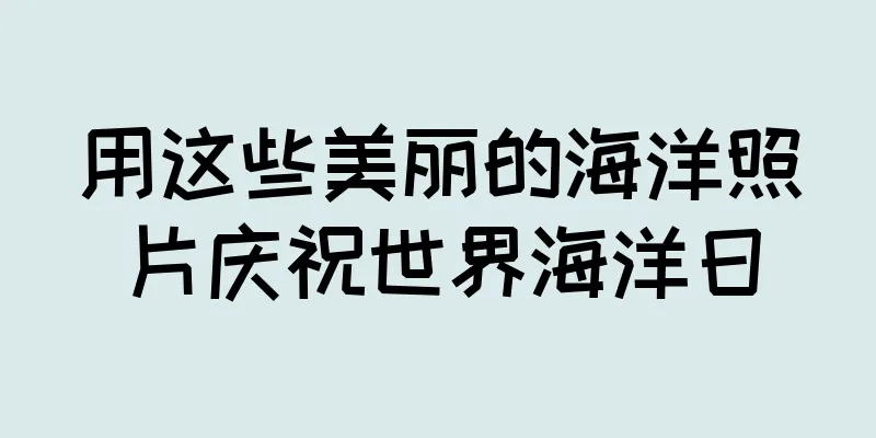 用这些美丽的海洋照片庆祝世界海洋日
