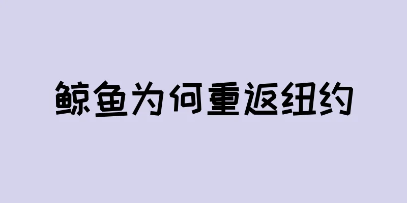 鲸鱼为何重返纽约