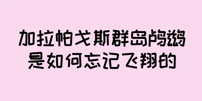 加拉帕戈斯群岛鸬鹚是如何忘记飞翔的