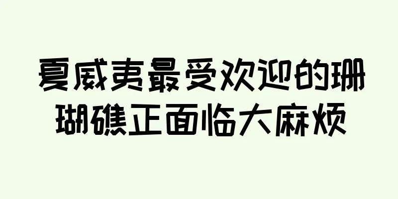 夏威夷最受欢迎的珊瑚礁正面临大麻烦