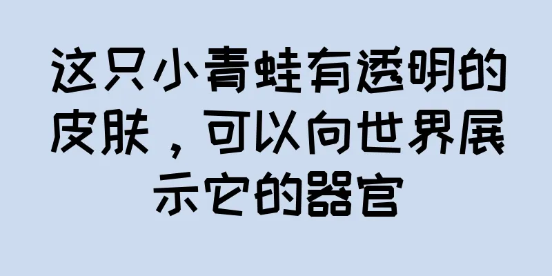 这只小青蛙有透明的皮肤，可以向世界展示它的器官
