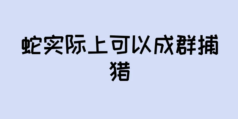 蛇实际上可以成群捕猎