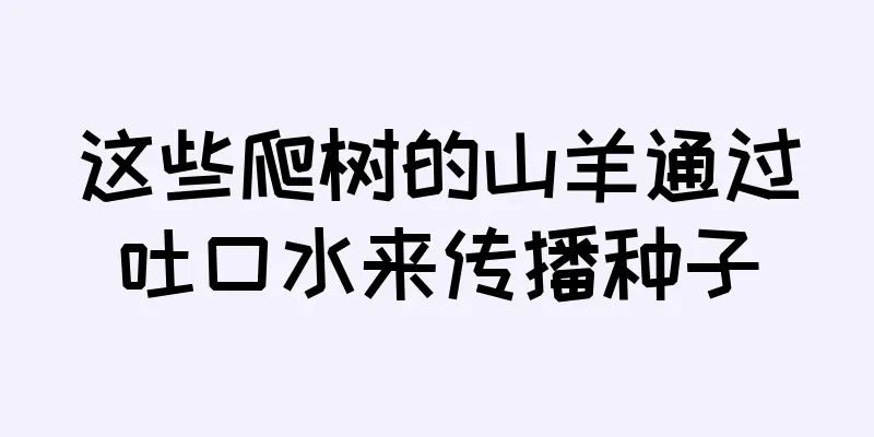 这些爬树的山羊通过吐口水来传播种子
