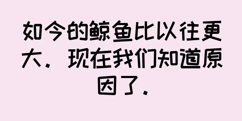 如今的鲸鱼比以往更大。现在我们知道原因了。