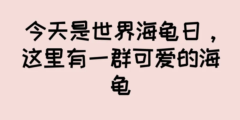 今天是世界海龟日，这里有一群可爱的海龟