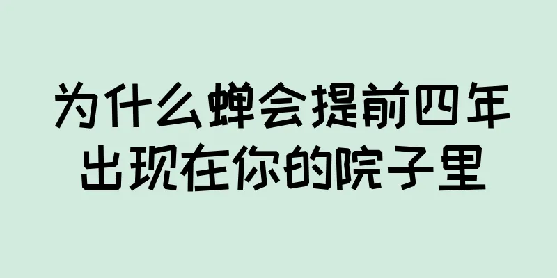 为什么蝉会提前四年出现在你的院子里