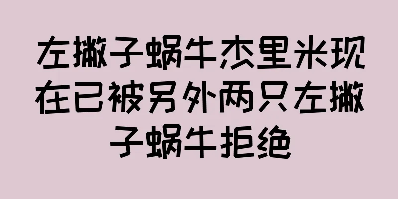 左撇子蜗牛杰里米现在已被另外两只左撇子蜗牛拒绝