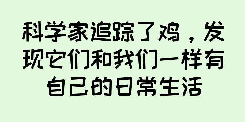 科学家追踪了鸡，发现它们和我们一样有自己的日常生活