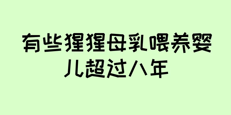 有些猩猩母乳喂养婴儿超过八年