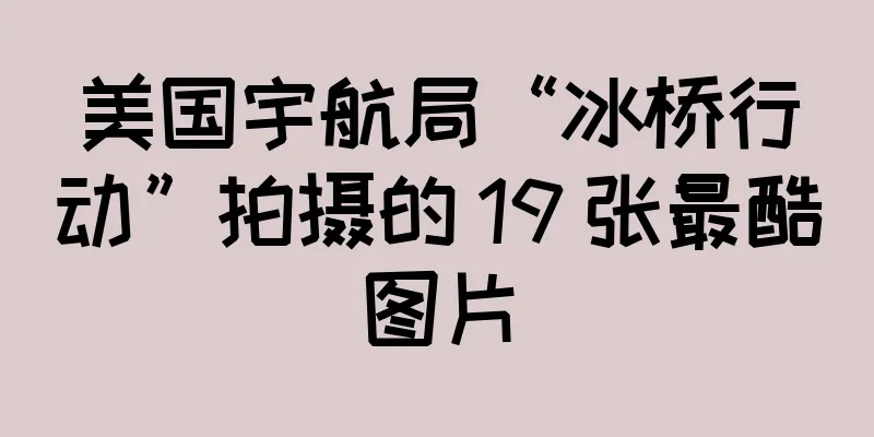 美国宇航局“冰桥行动”拍摄的 19 张最酷图片