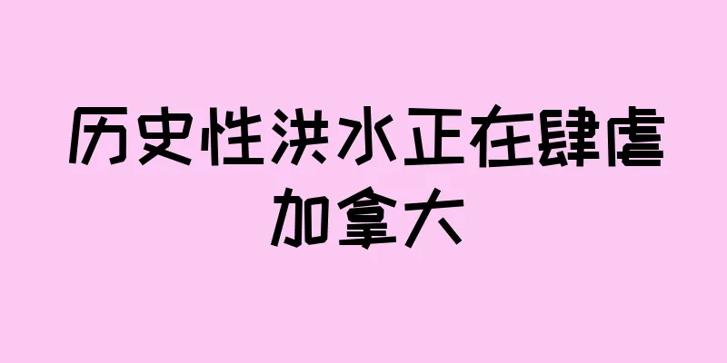 历史性洪水正在肆虐加拿大