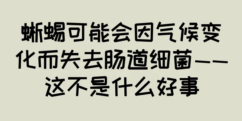 蜥蜴可能会因气候变化而失去肠道细菌——这不是什么好事
