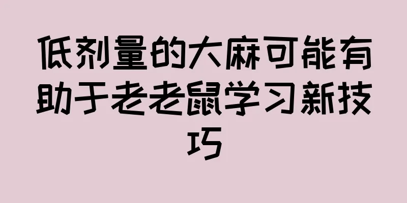 低剂量的大麻可能有助于老老鼠学习新技巧
