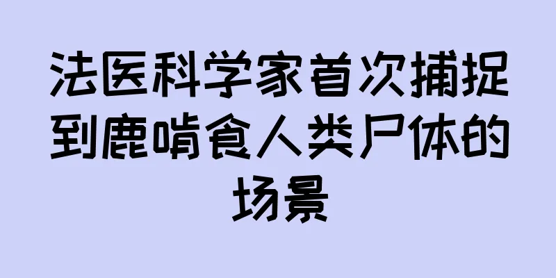 法医科学家首次捕捉到鹿啃食人类尸体的场景