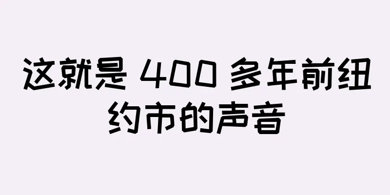 这就是 400 多年前纽约市的声音