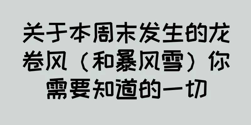 关于本周末发生的龙卷风（和暴风雪）你需要知道的一切