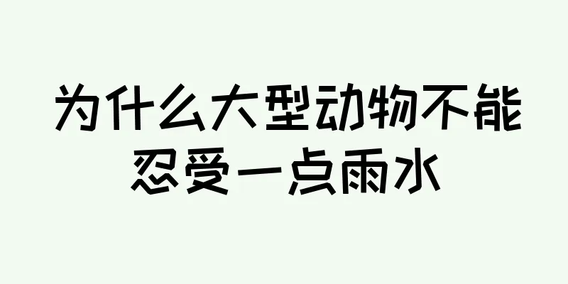 为什么大型动物不能忍受一点雨水