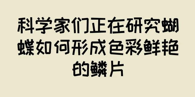 科学家们正在研究蝴蝶如何形成色彩鲜艳的鳞片