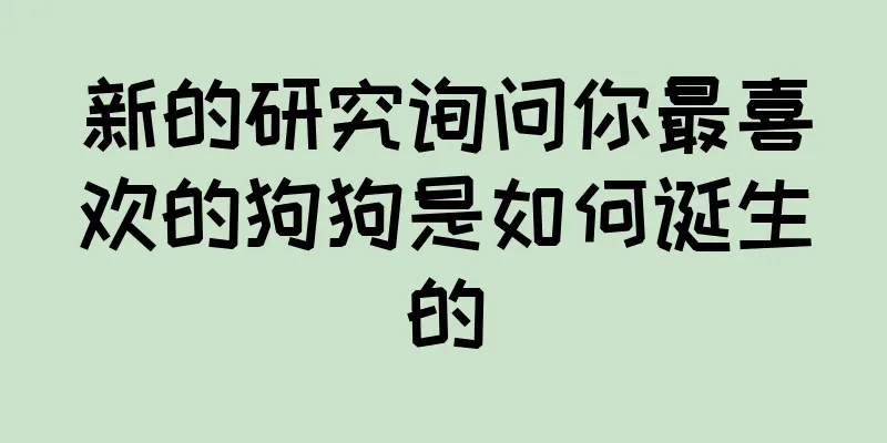 新的研究询问你最喜欢的狗狗是如何诞生的