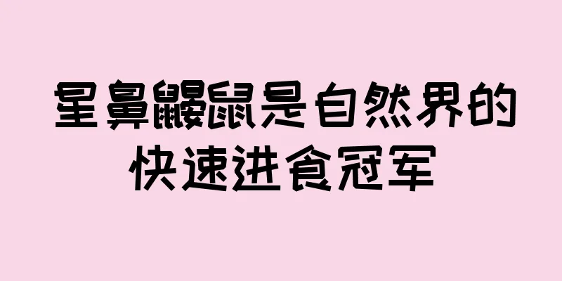 星鼻鼹鼠是自然界的快速进食冠军
