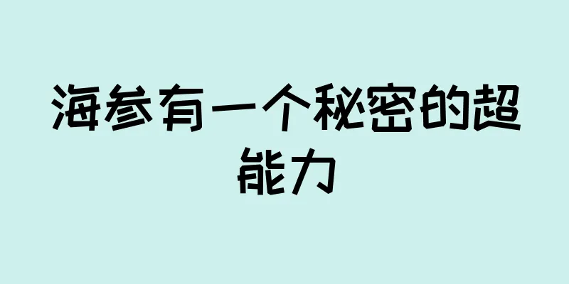 海参有一个秘密的超能力