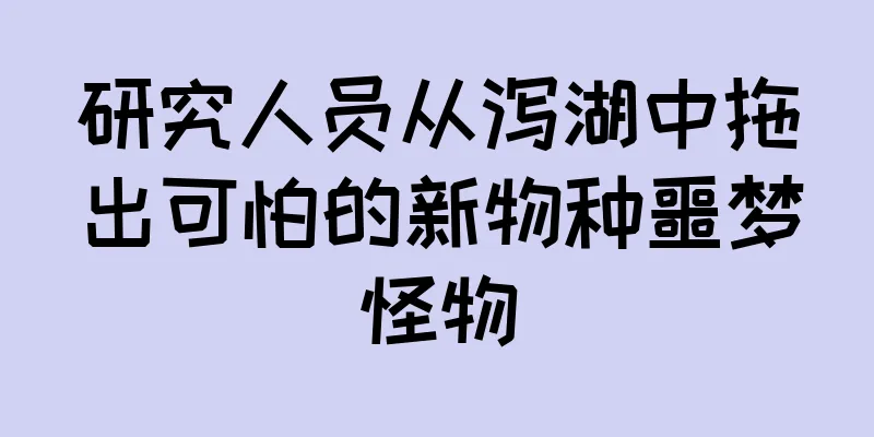 研究人员从泻湖中拖出可怕的新物种噩梦怪物